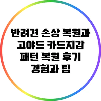 반려견 손상 복원과 고야드 카드지갑 패턴 복원 후기: 경험과 팁