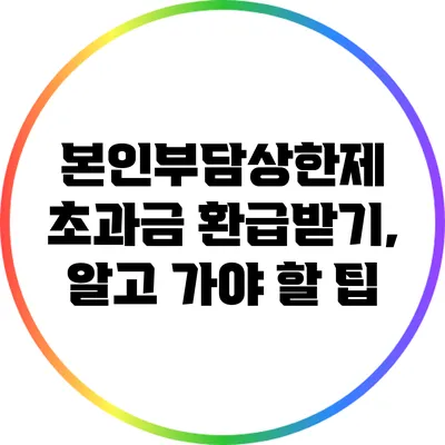 본인부담상한제 초과금 환급받기, 알고 가야 할 팁