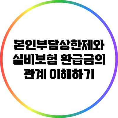 본인부담상한제와 실비보험 환급금의 관계 이해하기