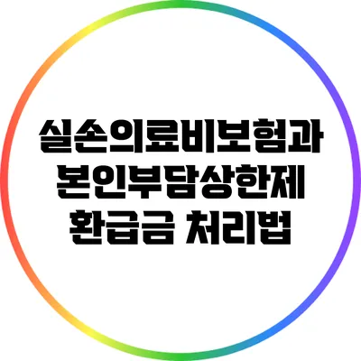 실손의료비보험과 본인부담상한제 환급금 처리법