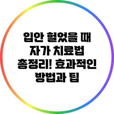 입안 헐었을 때 자가 치료법 총정리! 효과적인 방법과 팁