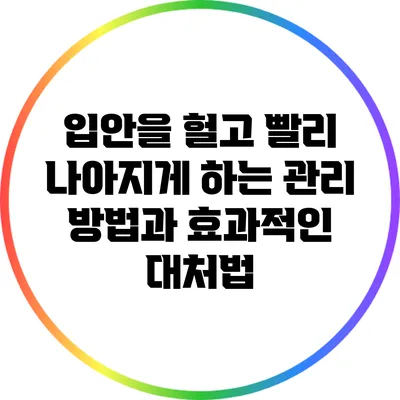 입안을 헐고 빨리 나아지게 하는 관리 방법과 효과적인 대처법