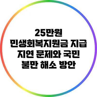 25만원 민생회복지원금 지급 지연 문제와 국민 불만 해소 방안