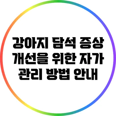 강아지 담석 증상 개선을 위한 자가 관리 방법 안내