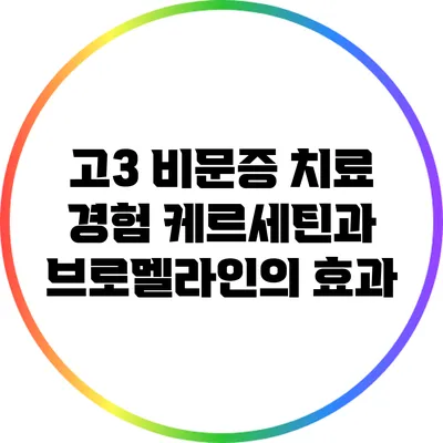 고3 비문증 치료 경험: 케르세틴과 브로멜라인의 효과