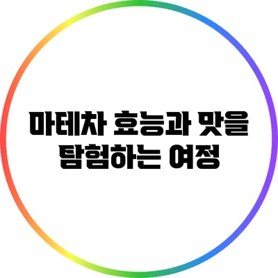 마테차: 효능과 맛을 탐험하는 여정