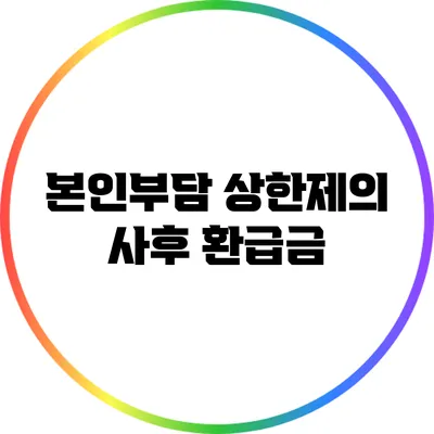 본인부담 상한제의 사후 환급금