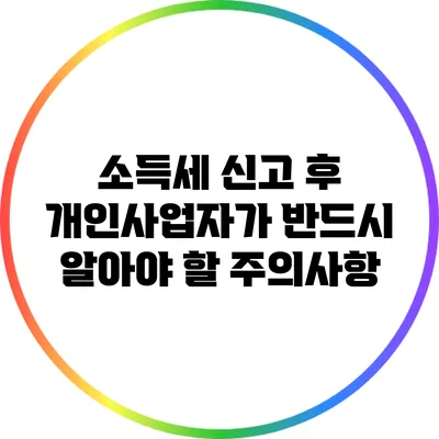 소득세 신고 후 개인사업자가 반드시 알아야 할 주의사항