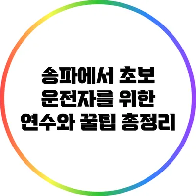 송파에서 초보 운전자를 위한 연수와 꿀팁 총정리