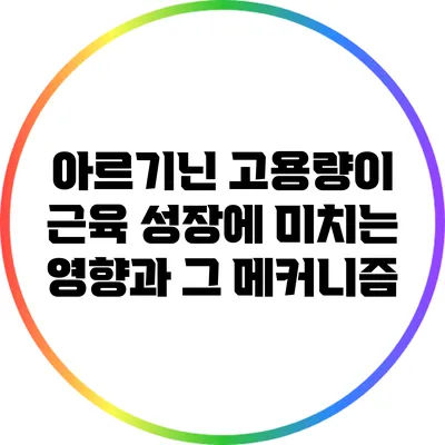 아르기닌 고용량이 근육 성장에 미치는 영향과 그 메커니즘