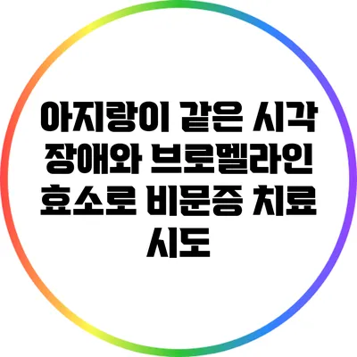 아지랑이 같은 시각 장애와 브로멜라인 효소로 비문증 치료 시도