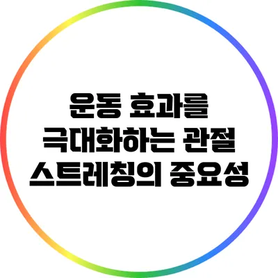 운동 효과를 극대화하는 관절 스트레칭의 중요성