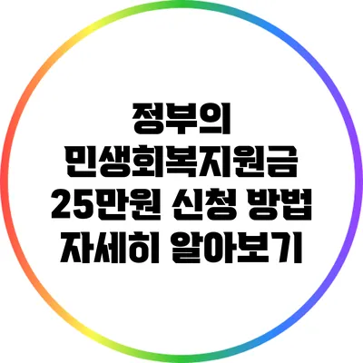 정부의 민생회복지원금 25만원 신청 방법 자세히 알아보기