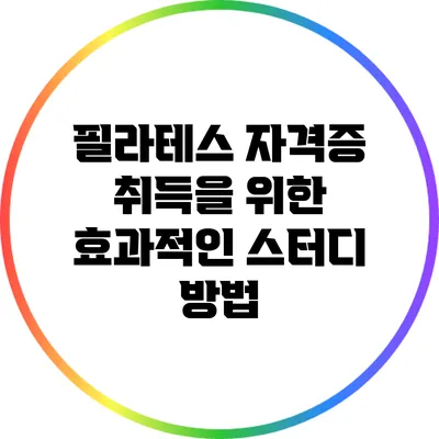 필라테스 자격증 취득을 위한 효과적인 스터디 방법