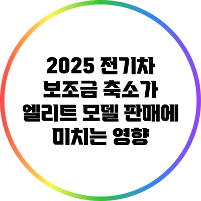 2025 전기차 보조금 축소가 엘리트 모델 판매에 미치는 영향