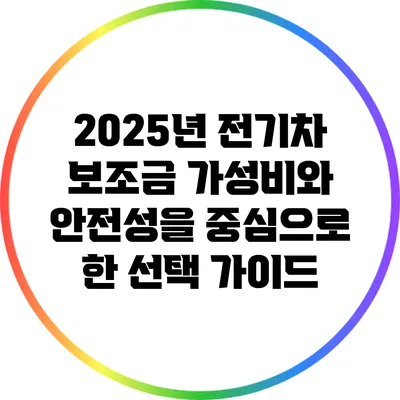 2025년 전기차 보조금: 가성비와 안전성을 중심으로 한 선택 가이드