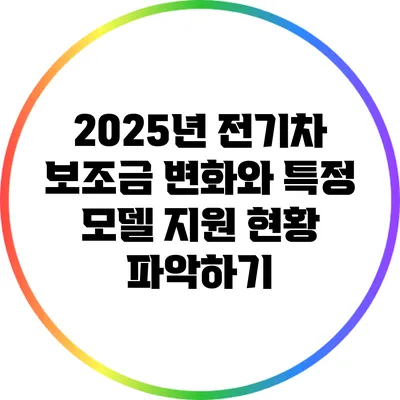 2025년 전기차 보조금 변화와 특정 모델 지원 현황 파악하기