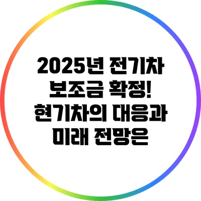 2025년 전기차 보조금 확정! 현기차의 대응과 미래 전망은?