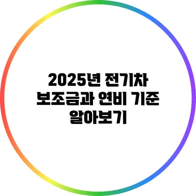 2025년 전기차 보조금과 연비 기준 알아보기