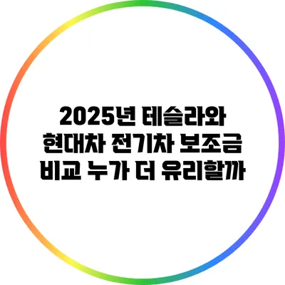 2025년 테슬라와 현대차 전기차 보조금 비교: 누가 더 유리할까?