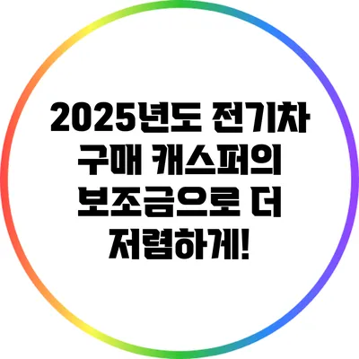 2025년도 전기차 구매: 캐스퍼의 보조금으로 더 저렴하게!