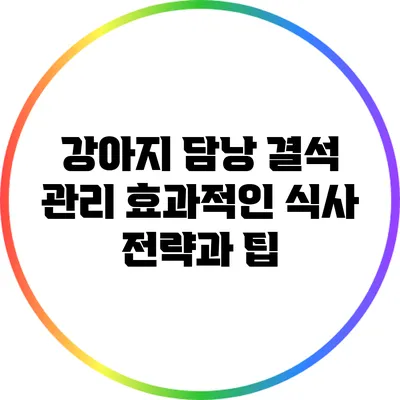 강아지 담낭 결석 관리: 효과적인 식사 전략과 팁