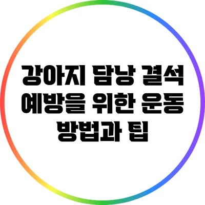 강아지 담낭 결석 예방을 위한 운동 방법과 팁