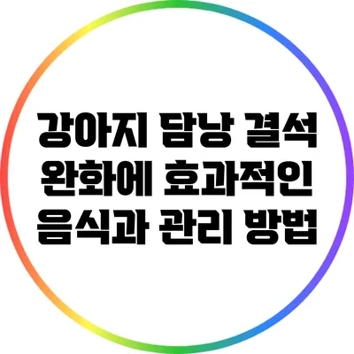 강아지 담낭 결석 완화에 효과적인 음식과 관리 방법