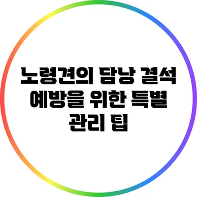 노령견의 담낭 결석 예방을 위한 특별 관리 팁