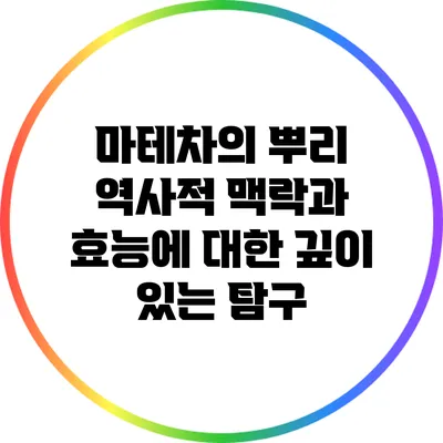 마테차의 뿌리: 역사적 맥락과 효능에 대한 깊이 있는 탐구