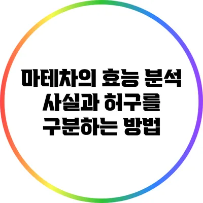 마테차의 효능 분석: 사실과 허구를 구분하는 방법