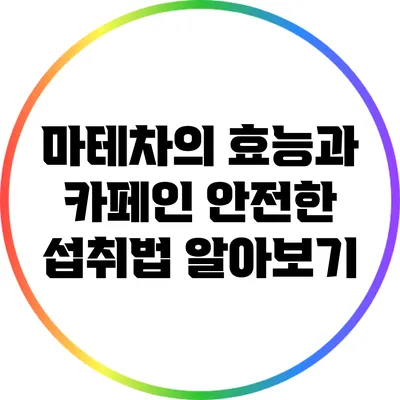 마테차의 효능과 카페인: 안전한 섭취법 알아보기