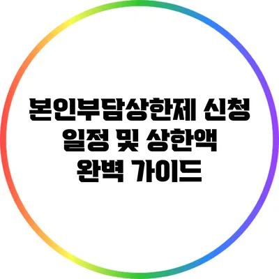 본인부담상한제 신청 일정 및 상한액 완벽 가이드