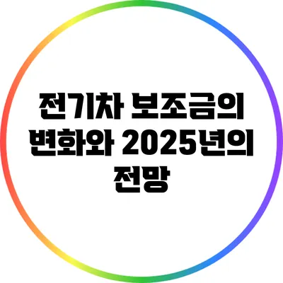 전기차 보조금의 변화와 2025년의 전망