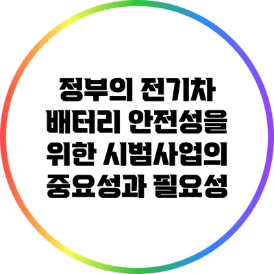 정부의 전기차 배터리 안전성을 위한 시범사업의 중요성과 필요성