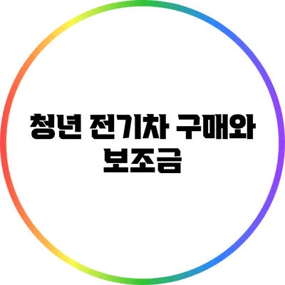 청년 전기차 구매와 보조금