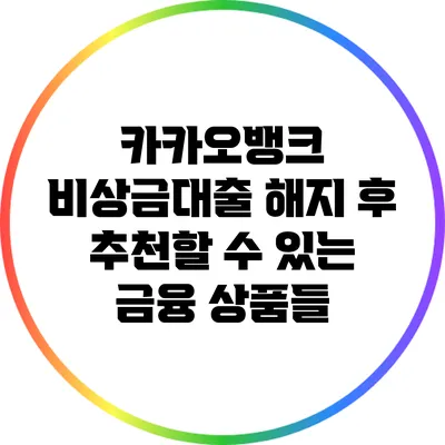 카카오뱅크 비상금대출 해지 후 추천할 수 있는 금융 상품들