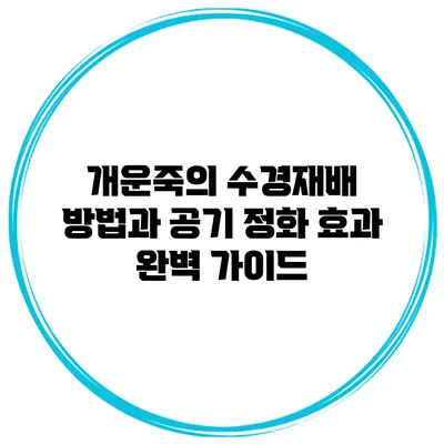 개운죽의 수경재배 방법과 공기 정화 효과 완벽 가이드
