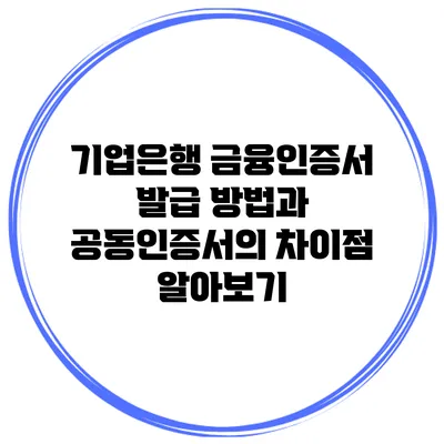 기업은행 금융인증서 발급 방법과 공동인증서의 차이점 알아보기