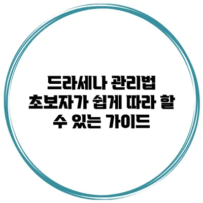 드라세나 관리법: 초보자가 쉽게 따라 할 수 있는 가이드