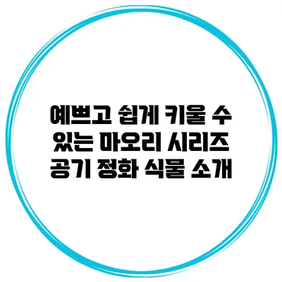 예쁘고 쉽게 키울 수 있는 마오리 시리즈 공기 정화 식물 소개