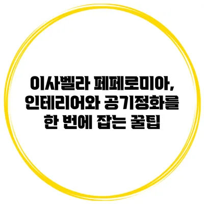 이사벨라 페페로미아, 인테리어와 공기정화를 한 번에 잡는 꿀팁