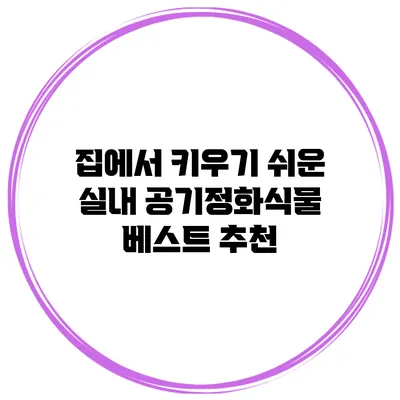 집에서 키우기 쉬운 실내 공기정화식물 베스트 추천