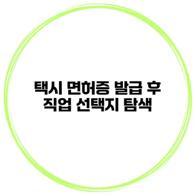 택시 면허증 발급 후 직업 선택지 탐색