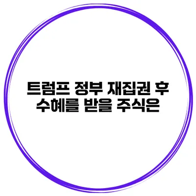 트럼프 정부 재집권 후 수혜를 받을 주식은?