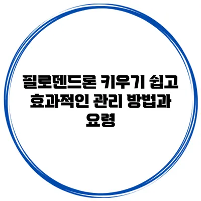 필로덴드론 키우기: 쉽고 효과적인 관리 방법과 요령
