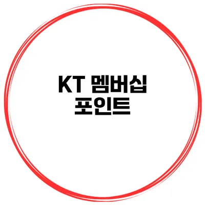 KT 멤버십 포인트