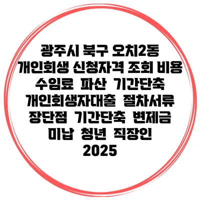 광주시 북구 오치2동 개인회생 신청자격 조회 비용 수임료 | 파산 | 기간단축 | 개인회생자대출 | 절차서류 | 장단점 | 기간단축 | 변제금 미납 | 청년 | 직장인 2025